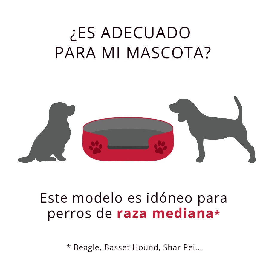 TK-Pet Relax Cama de Pl&aacute;stico para perros, , large Imagen numero 2