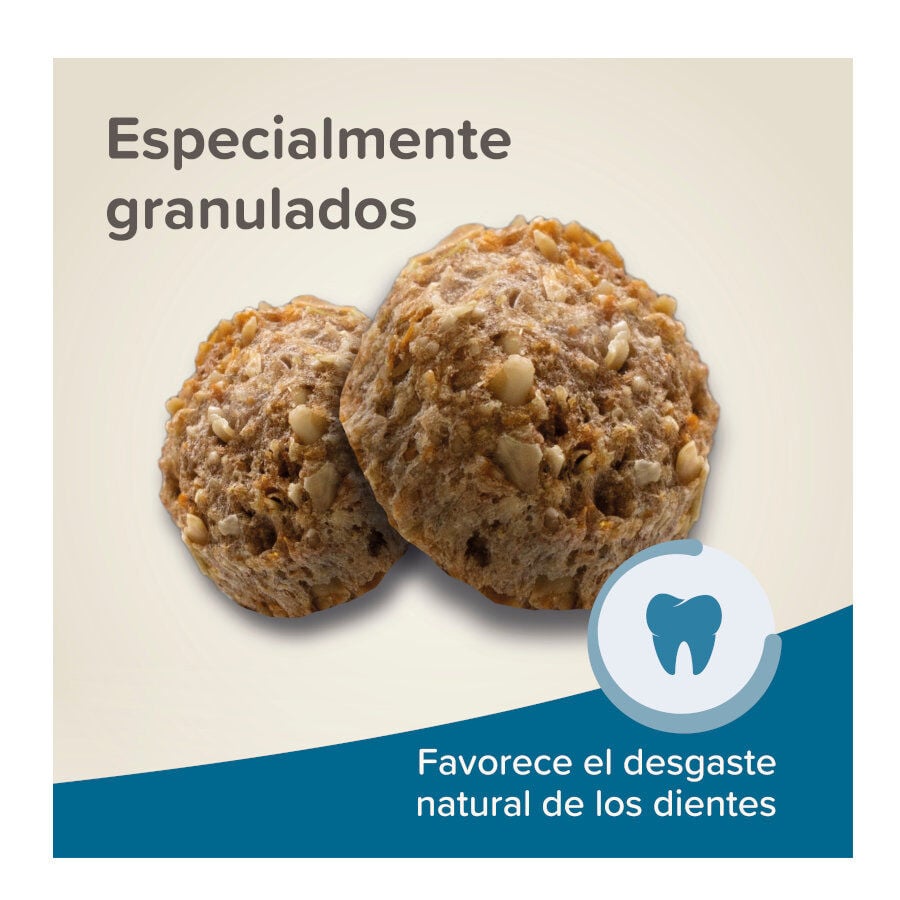 Beaphar Care+ Pienso para conejos, , large indicador imagen numero 4