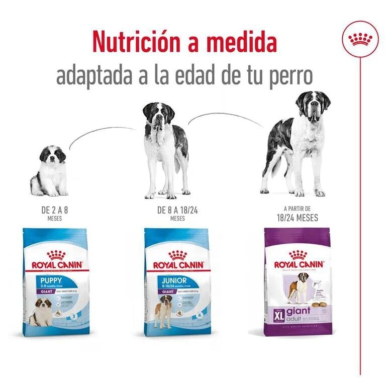 15 kg Royal Canin Giant Adult pienso para perros, , large indicador imagen numero 8