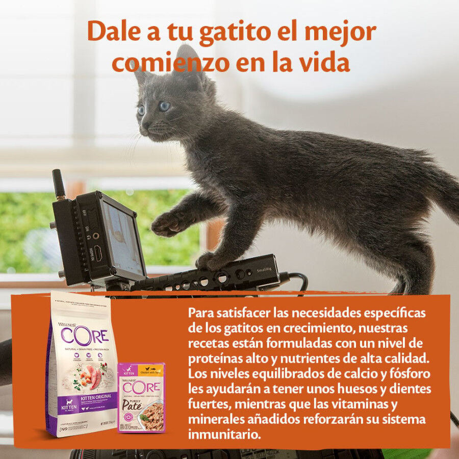 85 g Wellness Core Kitten Pollo en Pat&eacute; sobre para gatos&nbsp;, , large indicador imagen numero 4