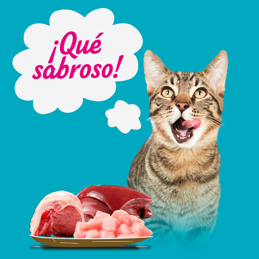 12 latas x 400 g Start Multipack de Carne y Pescado en Gelatina para Gatos, , large indicador imagen numero 4