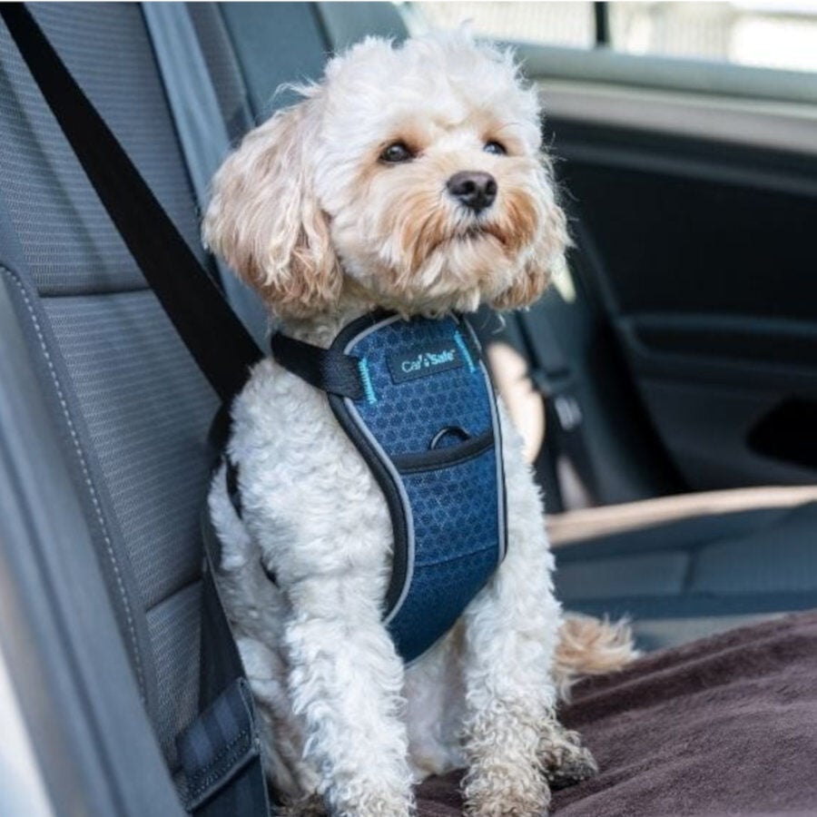 CarSafe arn&eacute;s para cintur&oacute;n de seguridad de coche para perros, , large indicador imagen numero 2