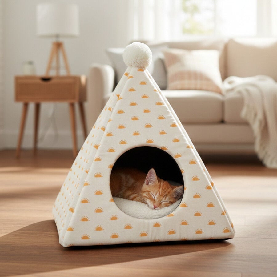 Leeby Cama Pir&aacute;mide Sol para gatos, , large indicador imagen numero 1