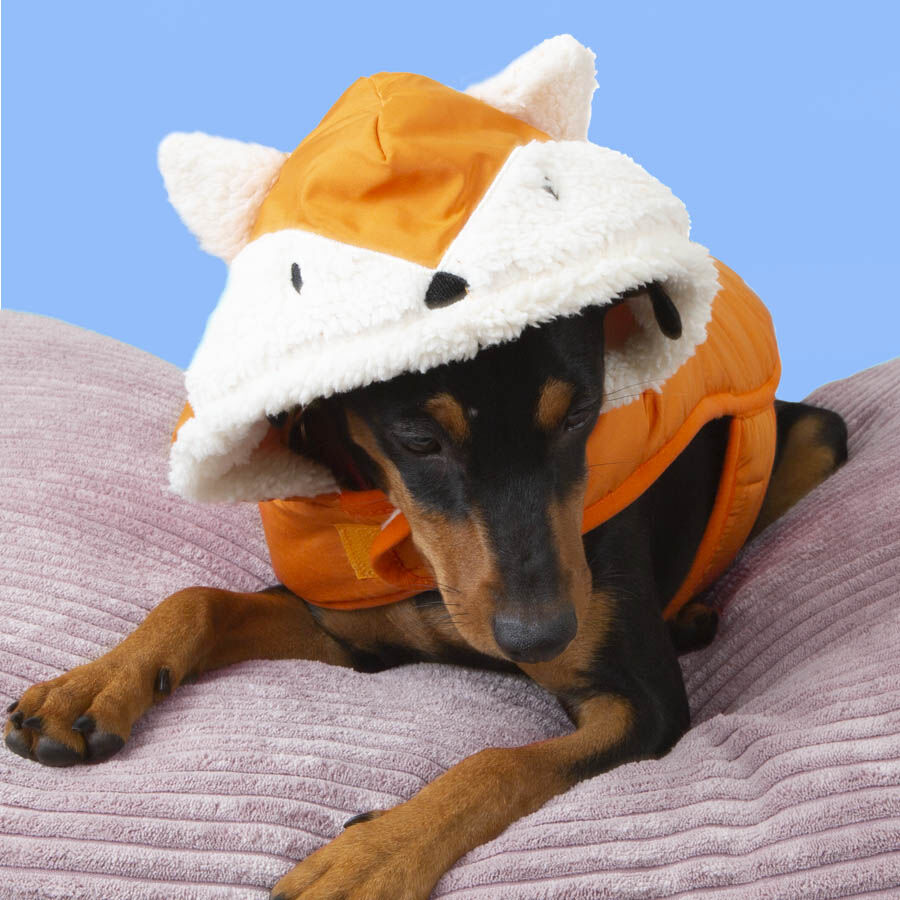 Outech Fox Abrigo para perros, , large Imagen numero 4