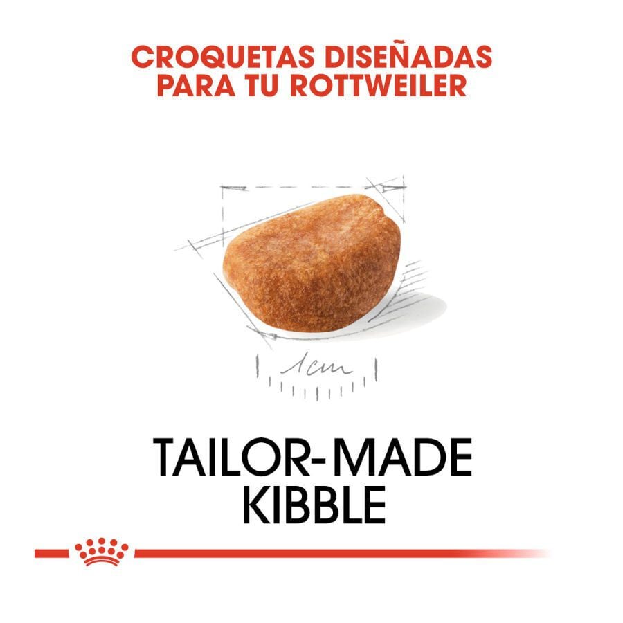 12 kg Royal Canin Puppy Rottweiler pienso para perros , , large Imagen numero 3