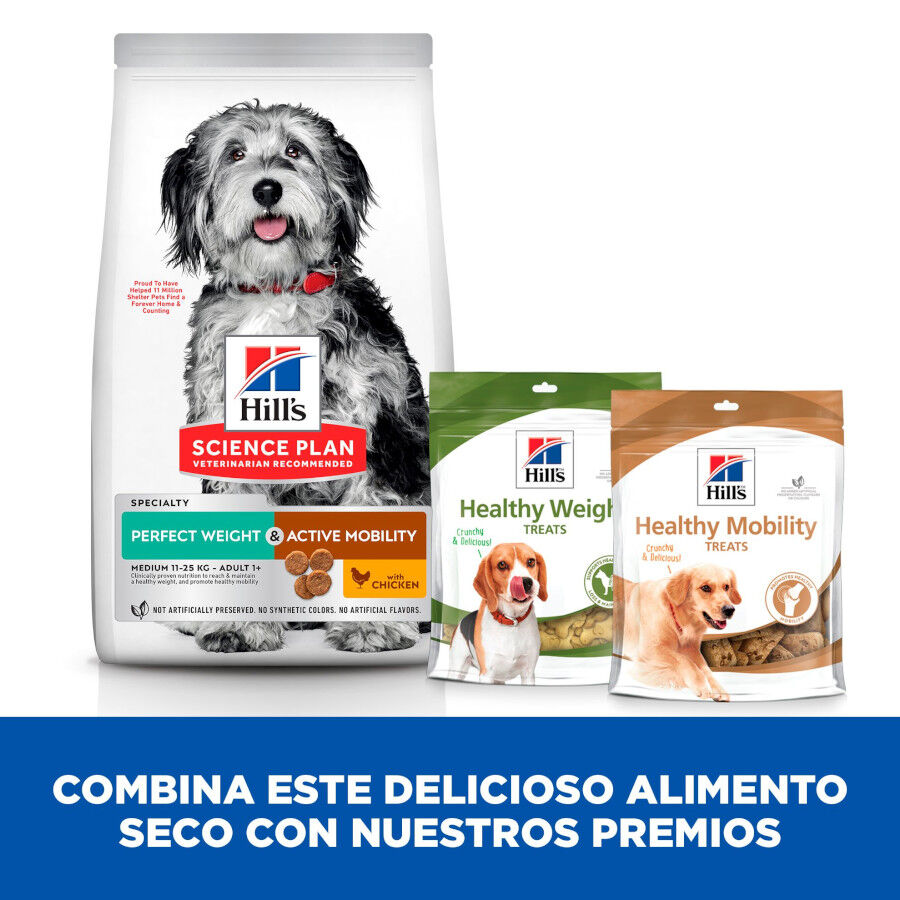 12 kg Hill's Science Plan Perfect Weight y Active Mobility pollo pienso para perros medianos, , large indicador imagen numero 9