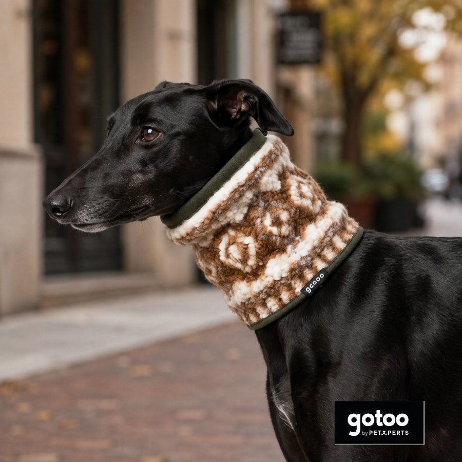 Gotoo Bufanda Estampado Retro para perros