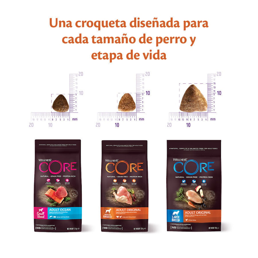 5 kg Wellness Core Adult Small Ocean Salm&oacute;n y At&uacute;n pienso para perros, , large indicador imagen numero 3