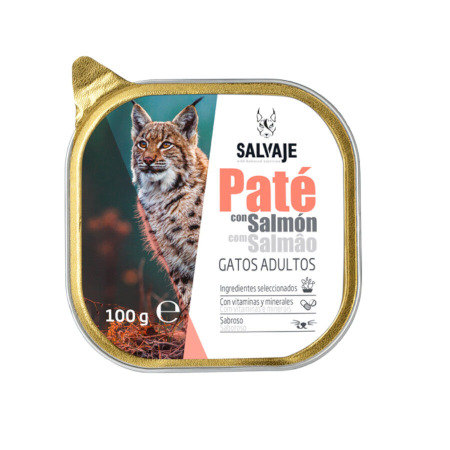 Salvaje Original Adulto Salm&oacute;n Pat&eacute; en tarrina para gatos