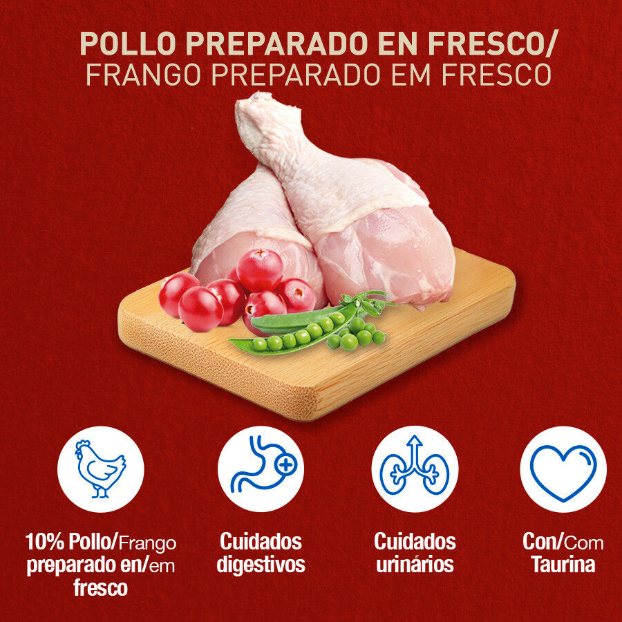 2.5 kg Catxtreme Adult Indoor Sterilised Pollo pienso para gatos, , large indicador imagen numero 2