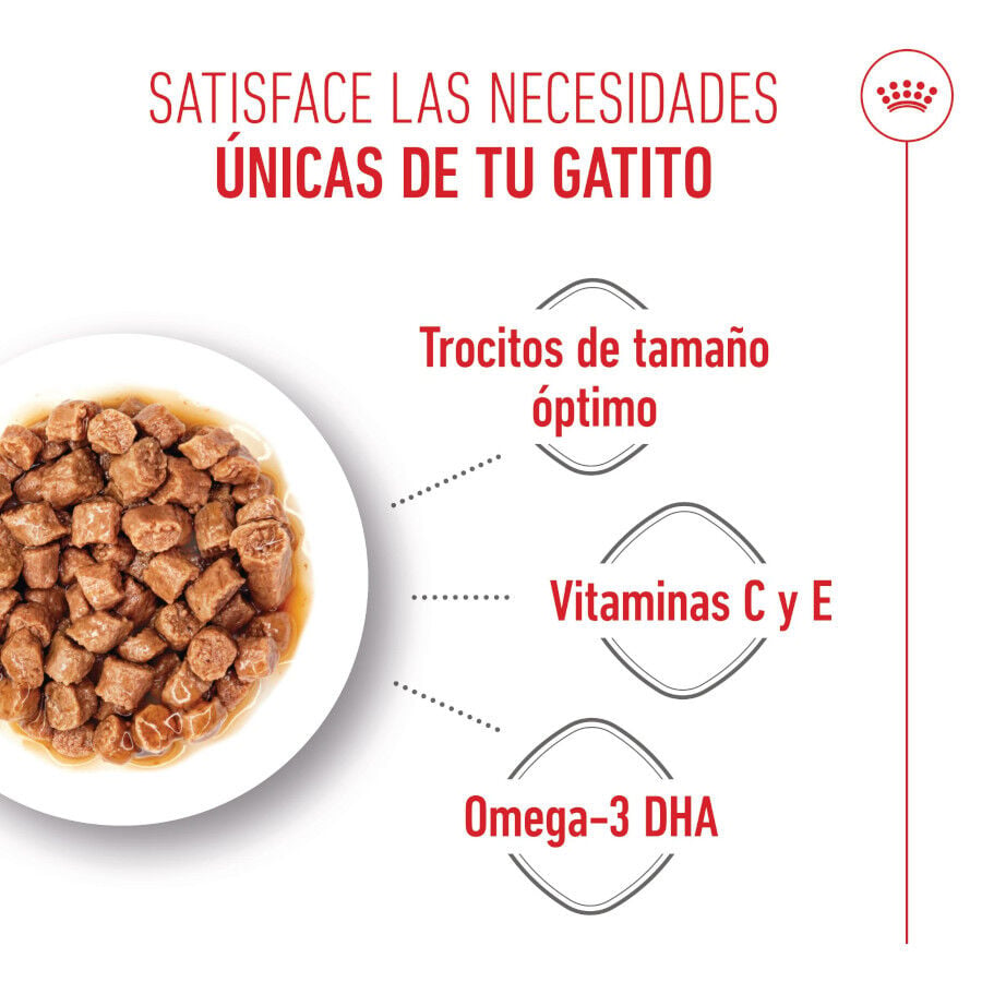 85 g Royal Canin Kitten sobre en salsa para gatos, , large Imagen numero 4