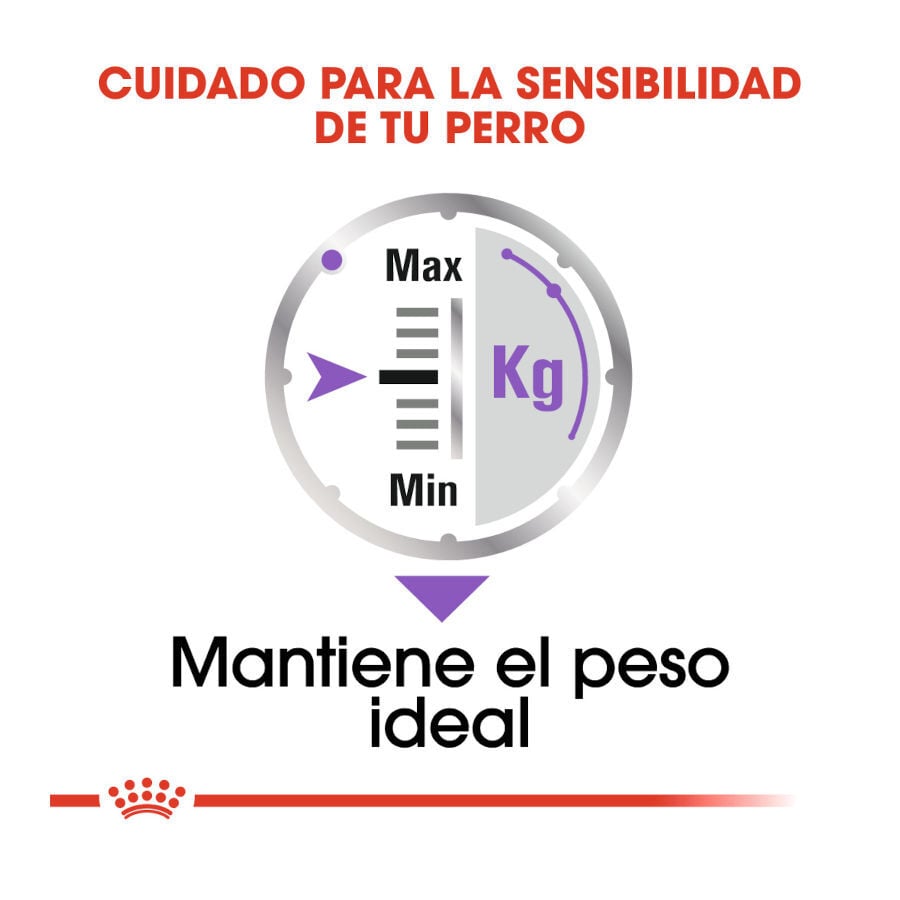85 g Royal Canin Sterilised Sobres Pat&eacute; para perros, , large indicador imagen numero 5