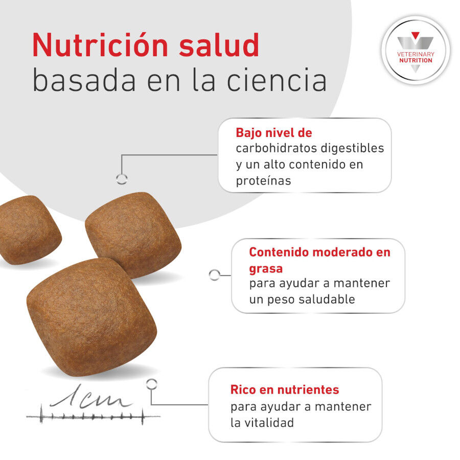 12 kg Royal Canin Veterinary Diabetic pienso para perros, , large Imagen numero 6