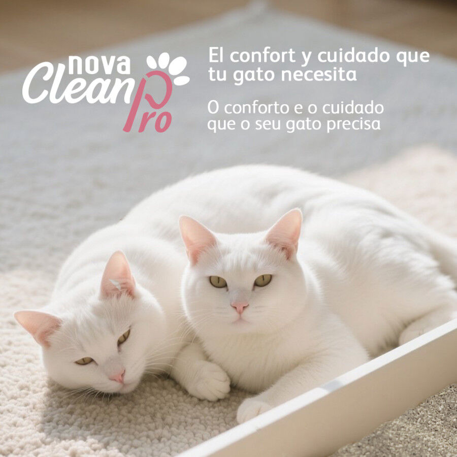 Nova Clean Pro Arena Multicat para gatos, , large Imagen numero 5