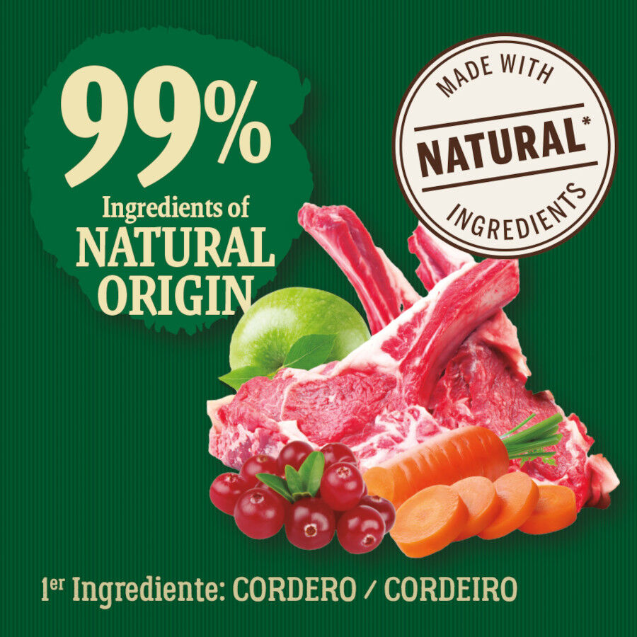 True Origins Wild Forest Cordero Pienso para perros, , large Imagen numero 3