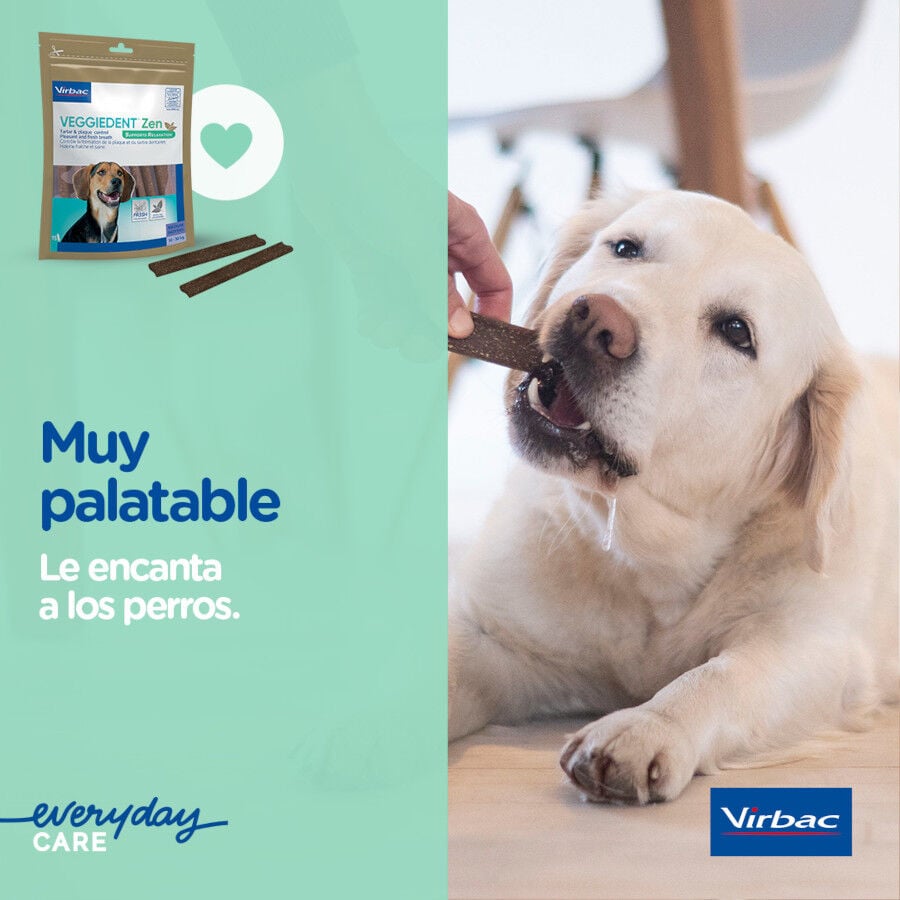 15 barritas Virbac L&aacute;minas Veggiedent Zen XS para perros, , large Imagen numero 7