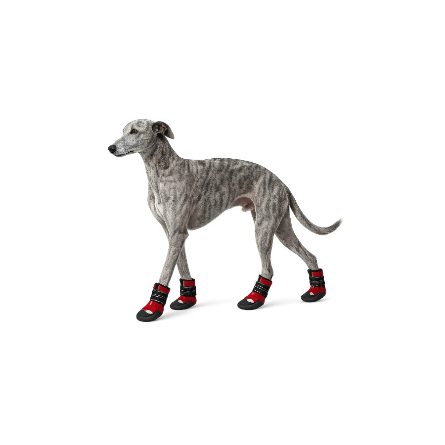 Gotoo Zapatos Rojo y Negro para galgos, , large indicador imagen numero 7