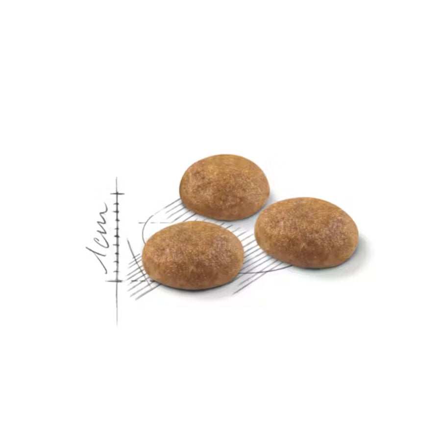 10 kg Royal Canin Active Life Outdoor pienso para gatos, , large Imagen numero 3