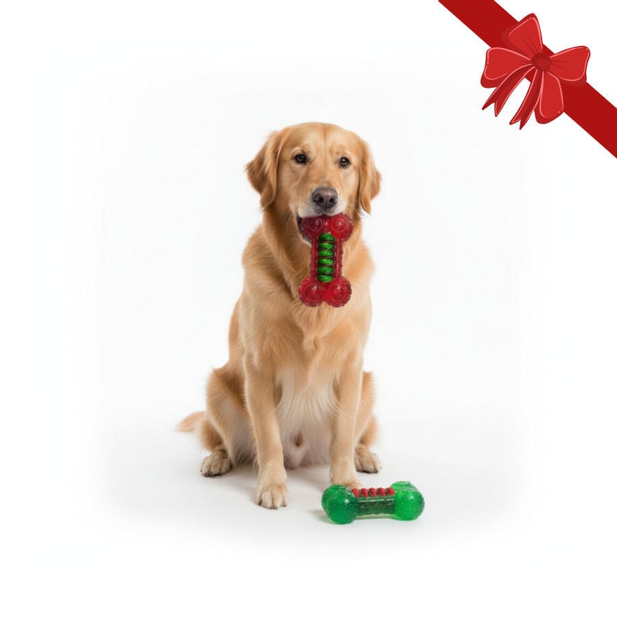 Wonder Christmas Juguete Huesos Navide&ntilde;os para perros, , large indicador imagen numero 1