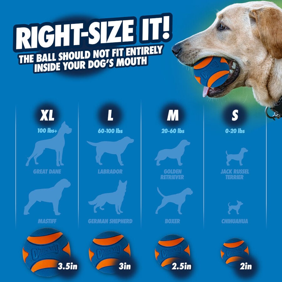 Chuckit! Ultra Squeaker Pelota con Sonido y Rebote para perros &ndash; Pack 2, , large indicador imagen numero 6