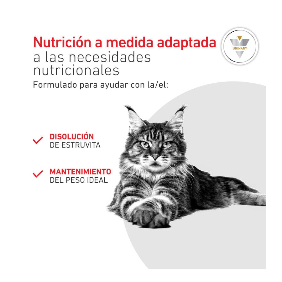 9 kg Royal Canin Veterinary Urinary S/O Moderate Calorie pienso para gatos, , large indicador imagen numero 4