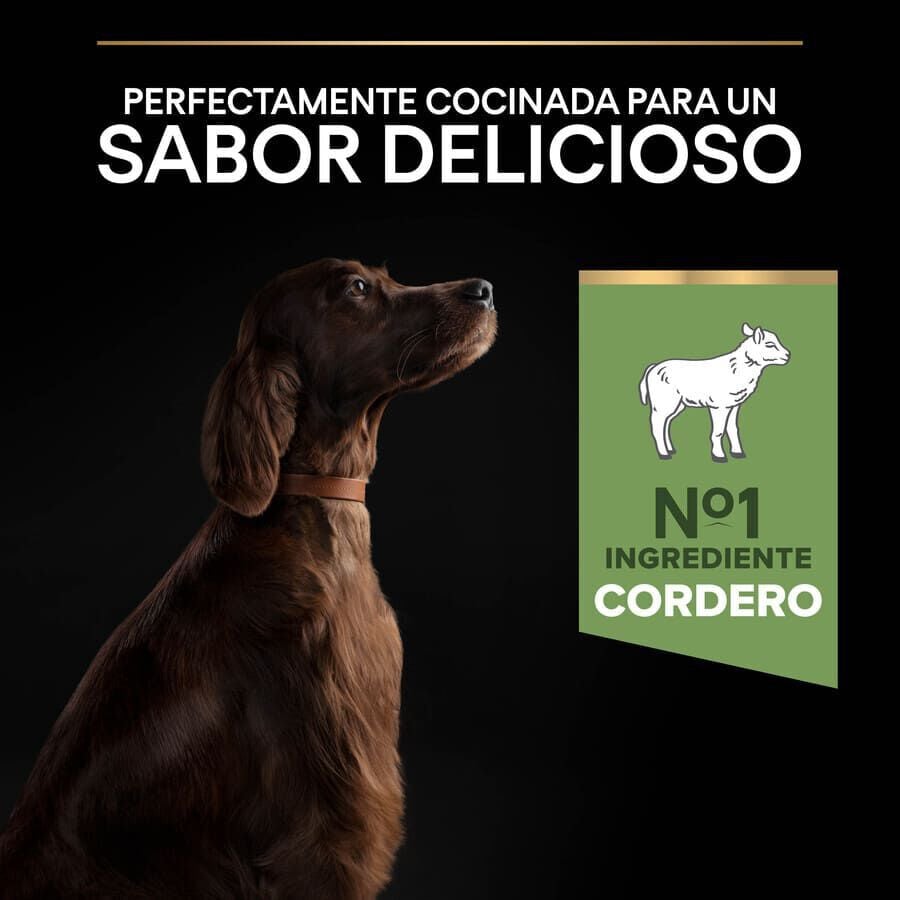14 kg Pro Plan Adult Large Athletic Digesti&oacute;n Cordero pienso para perros, , large indicador imagen numero 6