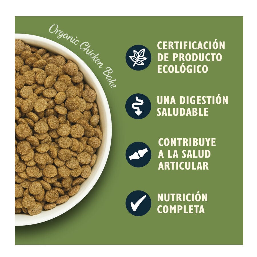 7 kg Lily's Kitchen Organic Pollo y Verdura pienso para perros, , large Imagen numero 3