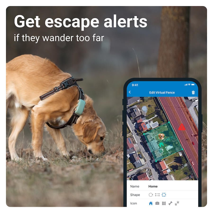 Tractive GPS Localizador XL para perros, , large Imagen numero 3