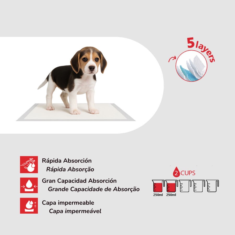 TK Pet Empapadores para perros, , large Imagen numero 2