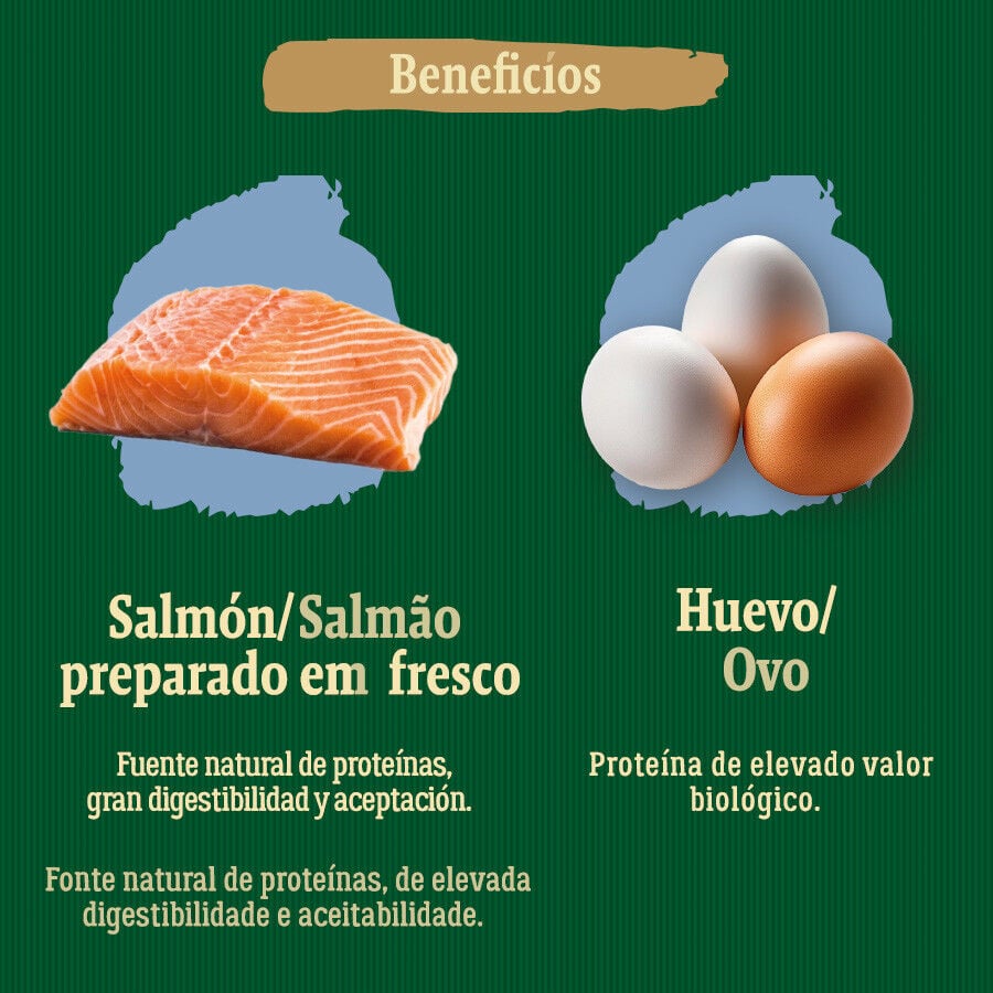 6 kg True Origins Wild Esterilizado Pacific Salm&oacute;n pienso para gatos, , large Imagen numero 5