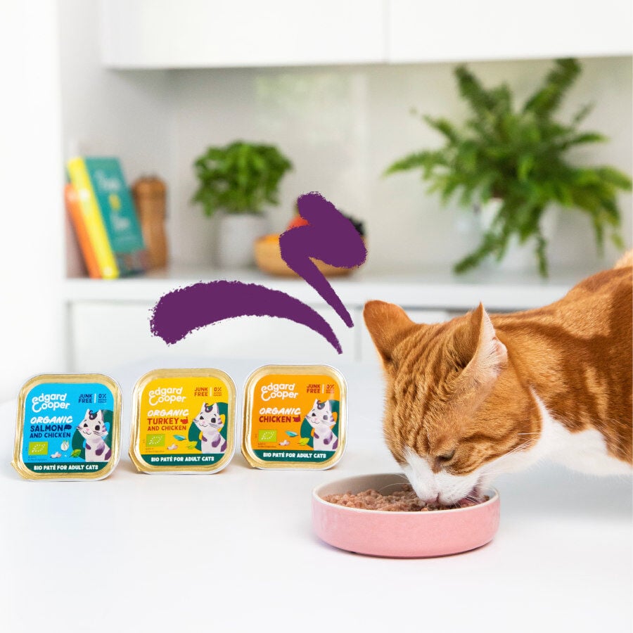 85 g Edgard & Cooper Adult Pollo Ecol&oacute;gico en Pat&eacute; tarrina para gatos, , large Imagen numero 5