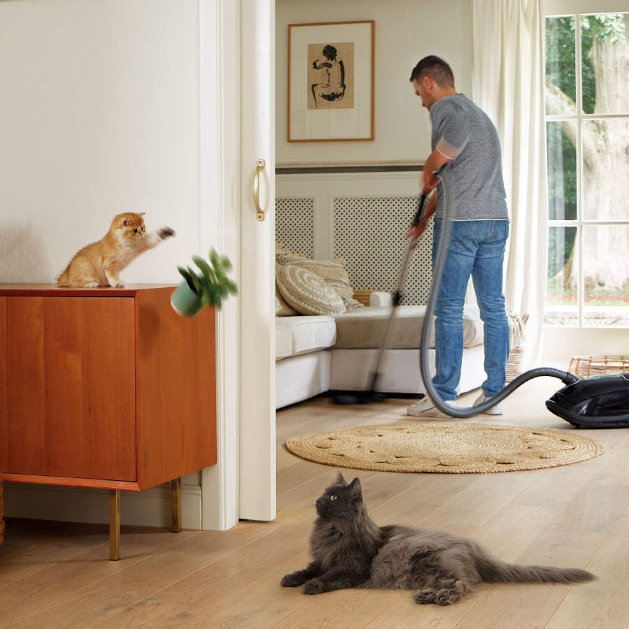 Beaphar CatComfort Relajante en Spray para el estr&eacute;s ocasional en gatos, , large indicador imagen numero 3