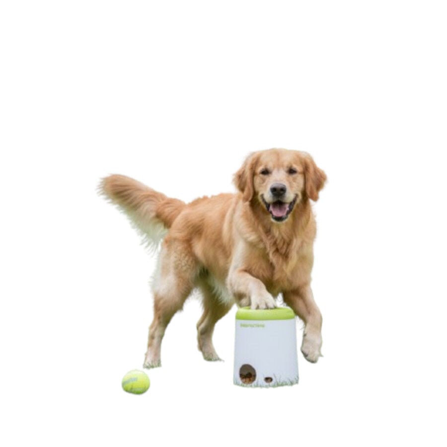 All For Paws Interactives Juguete Lanzador Golosionas para perros, , large indicador imagen numero 3
