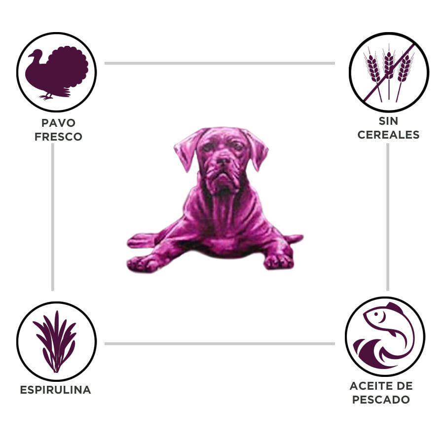 12 kg Criadores Adulto Grain Free Pavo pienso para perros de raza mediana y grande, , large indicador imagen numero 2
