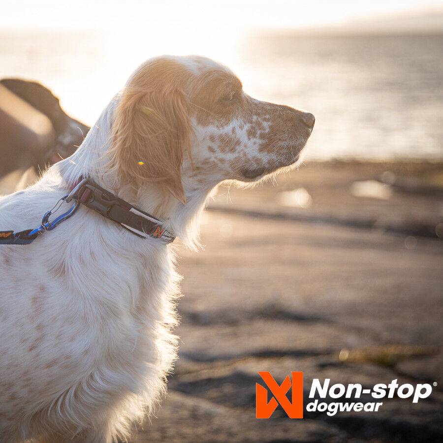 Non-stop dogwear Roam Collar P&uacute;rpura para perros, , large Imagen numero 2