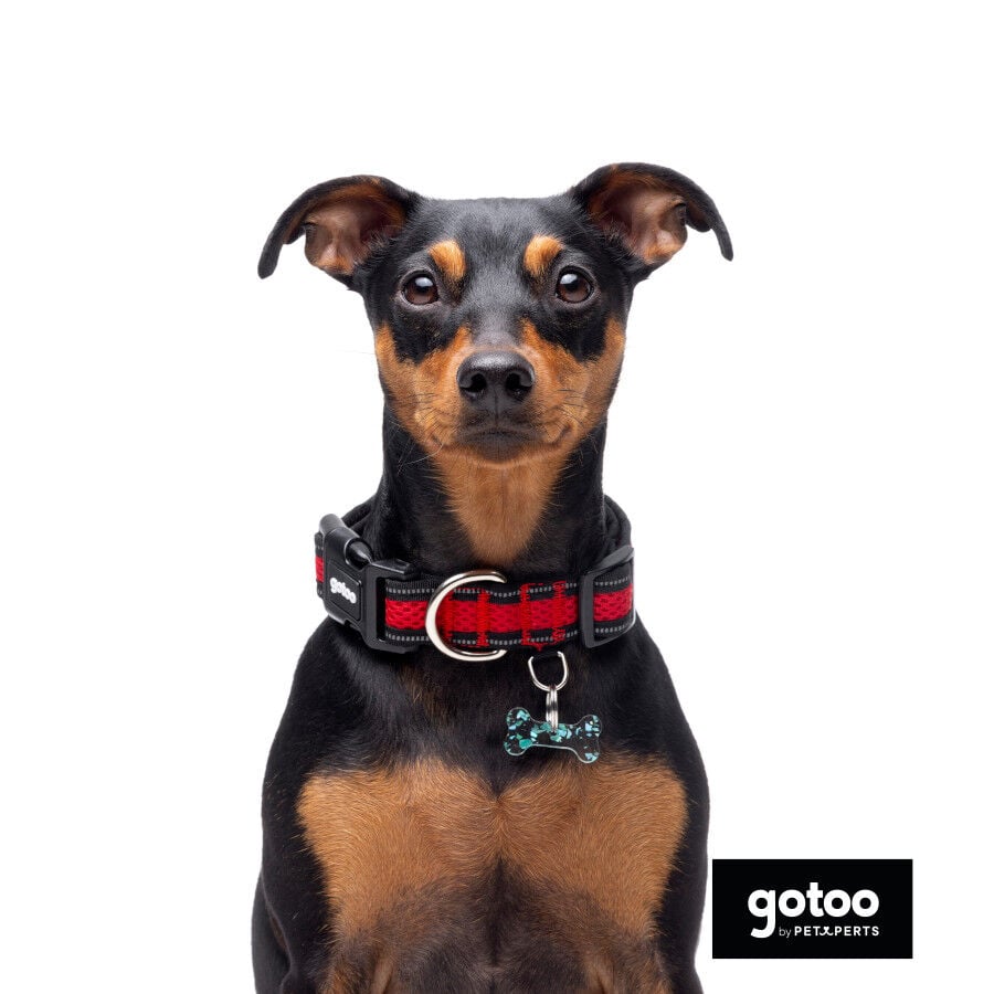 Gotoo Collar de malla transpirable rojo para perros, , large Imagen numero 6