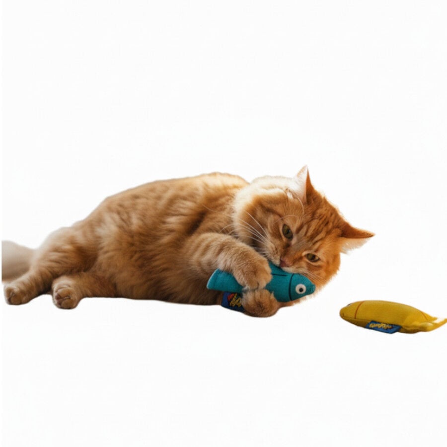BAM! Peluche peces con catnip Azul y Amarillo para gatos