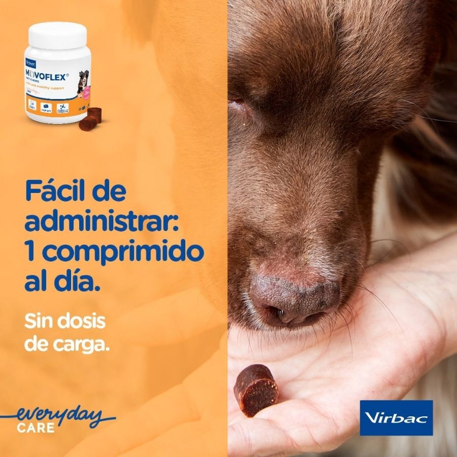 Virbac Movoflex Condroprotector para perros, , large Imagen numero 10