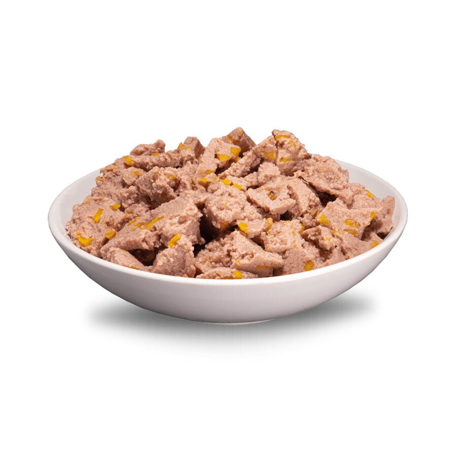 400 g ERA Sybarite Pavo con Batatas y Romero en Pat&eacute; lata para cachorros, , large indicador imagen numero 2