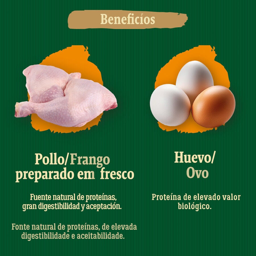 6 kg True Origins Wild Esterilizado Country Water Pollo pienso para gatos, , large Imagen numero 5