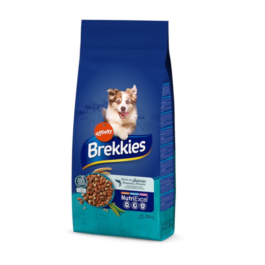 20 kg Affinity Brekkies Salm&oacute;n pienso para perros , , large Imagen numero 1