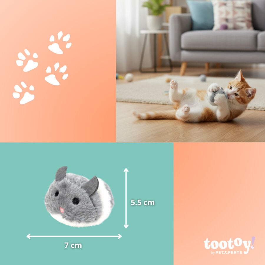 Tootoy! Rat&oacute;n Interactivo con Zumbido para gatitos, , large indicador imagen numero 4