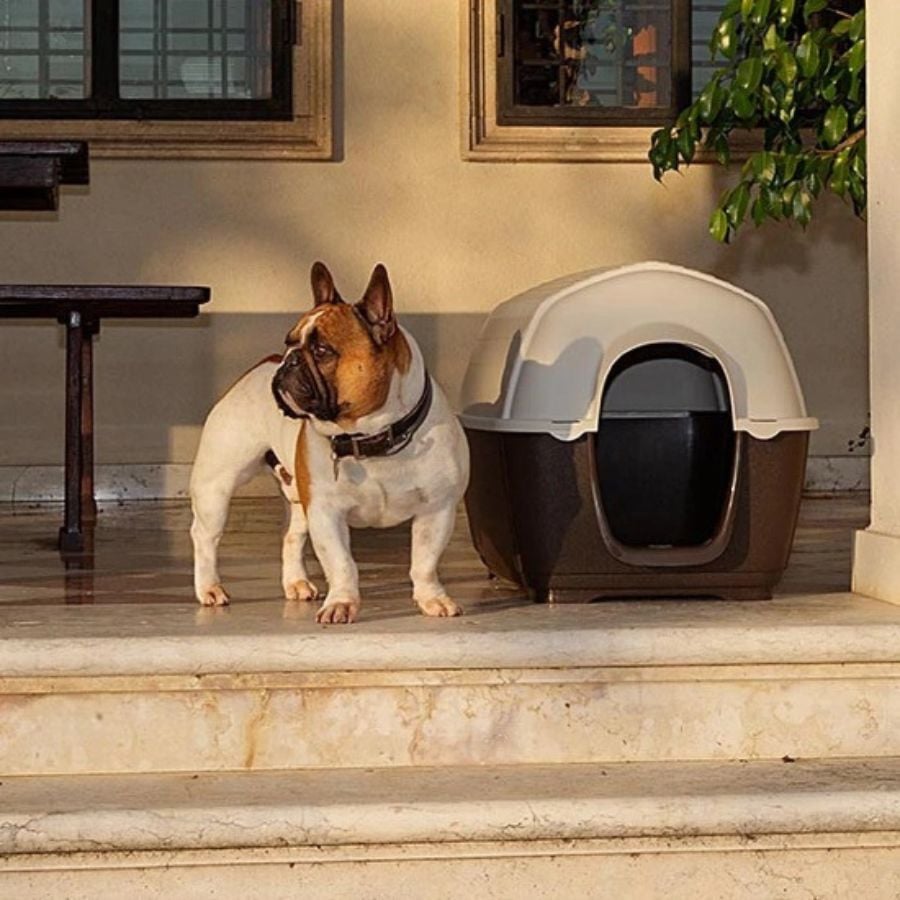 Ferplast Kenny Caseta de Pl&aacute;stico Marr&oacute;n para perros