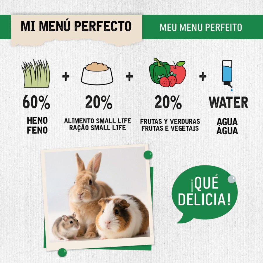 Small Life Heno Timothy con Calendura para roedores, , large indicador imagen numero 4