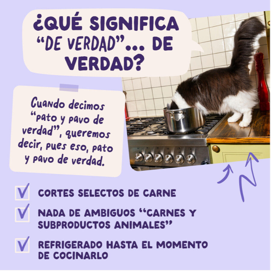 85 g Edgard & Cooper Pato & Pavo sobre en salsa para gatos, , large indicador imagen numero 5