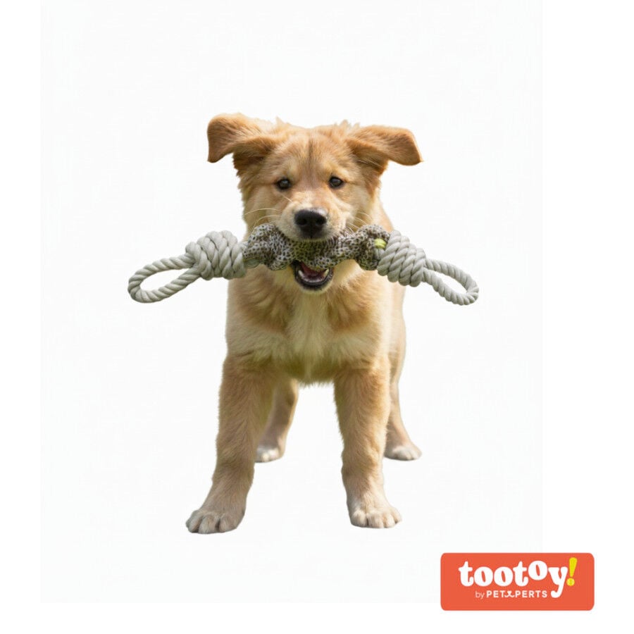 Tootoy! Mordedor de Cuerda con Nudos para perros, , large indicador imagen numero 8