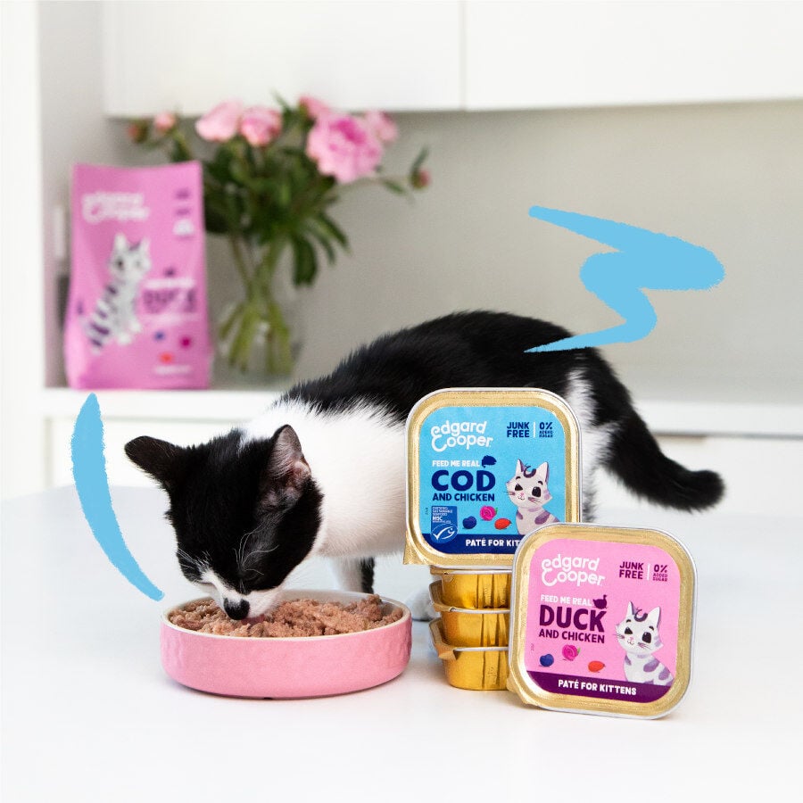 85 g Edgard & Cooper Kitten Pato y Pollo en Pat&eacute; tarrina para gatos&nbsp;, , large Imagen numero 2