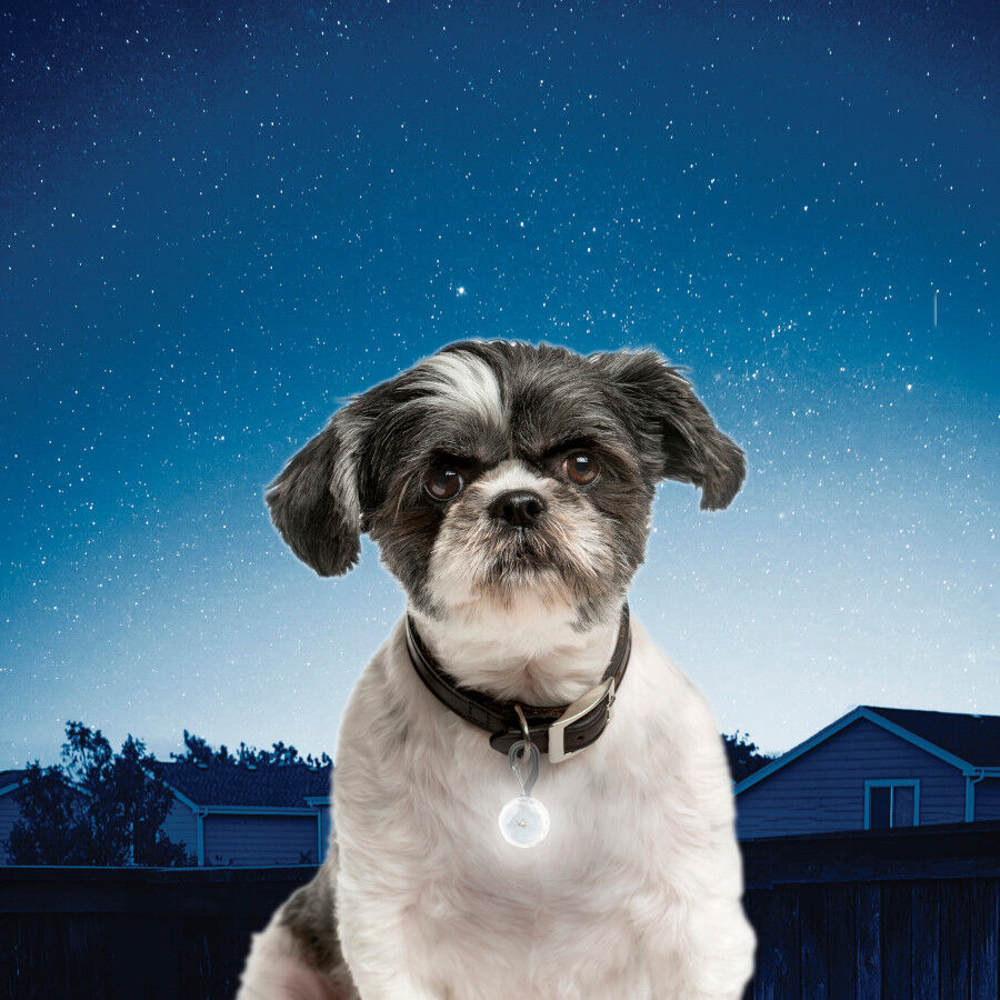 Nite Ize PetLit Luz LED Blanca con mosquet&oacute;n para collar para perros, , large Imagen numero 2