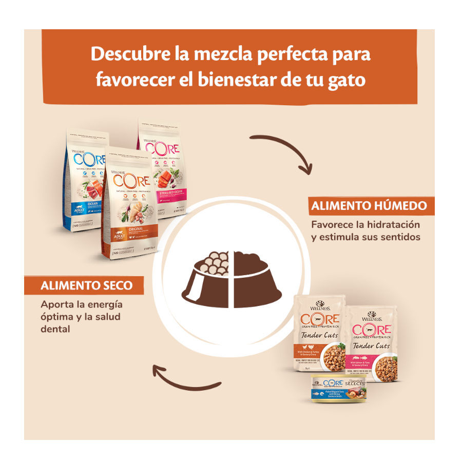 1.75 kg Wellness Core Kitten Pavo y Pollo pienso para gatos, , large indicador imagen numero 5