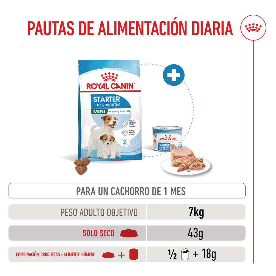 4 kg Royal Canin Starter MotheryBaby Mini pienso para perros, , large Imagen numero 8